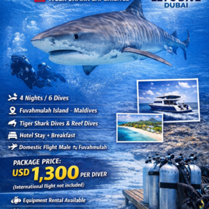 Fuvahmulah Maldives – Tiger Shark Diving Trip (4 Nights / 6 Dives)